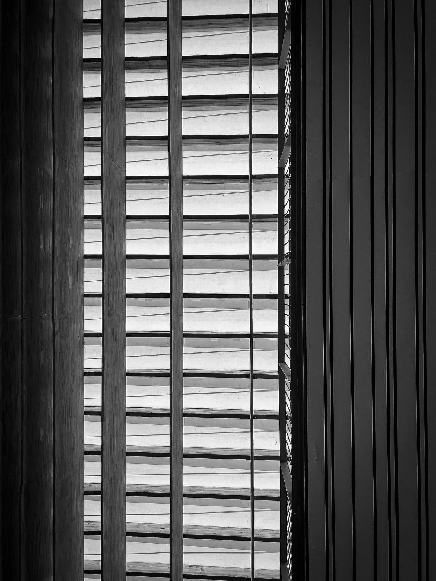 Pinacoteca de São Paulo | 2024 (P&B) - Ref 62