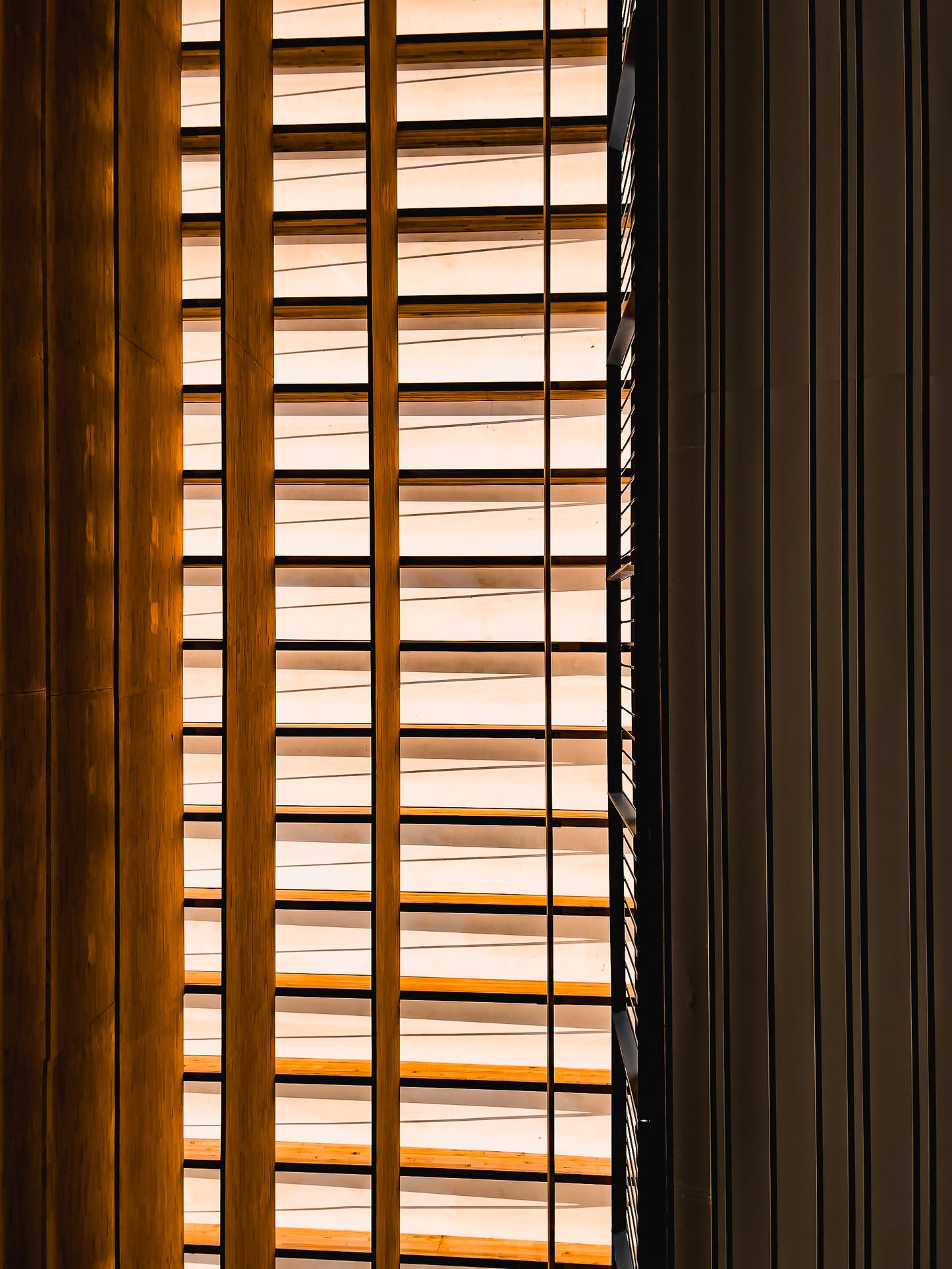 Pinacoteca de São Paulo | 2024 (Colorido) - Ref 61