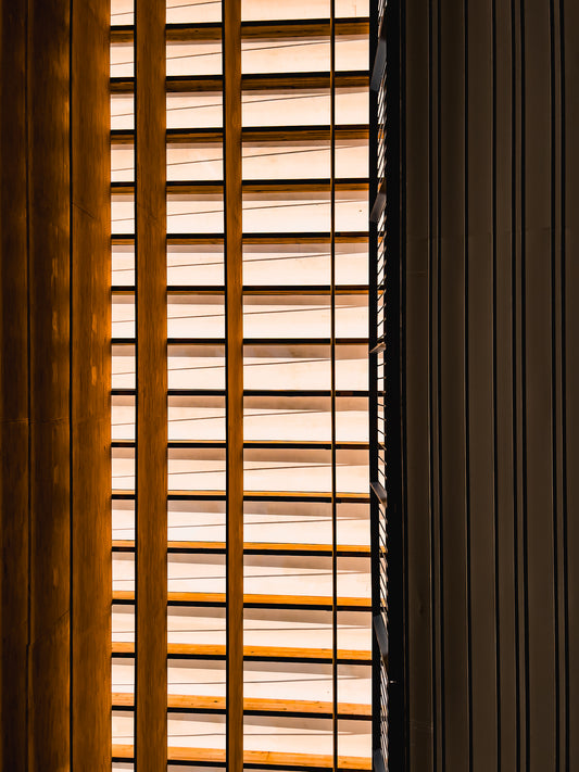 Pinacoteca de São Paulo | 2024 (Colorido) - Ref 61