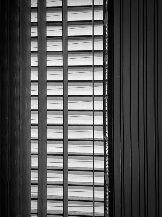 Pinacoteca de São Paulo | 2024 (P&B) - Ref 62
